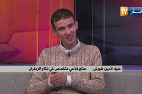 الزعفران أو الذهب الأحمر..  مساع لتطوير الإنتاج المحلي