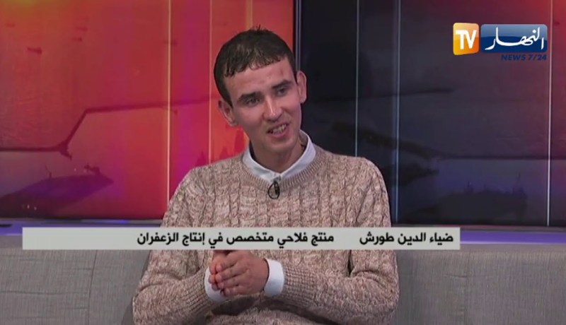 الزعفران أو الذهب الأحمر..  مساع لتطوير الإنتاج المحلي