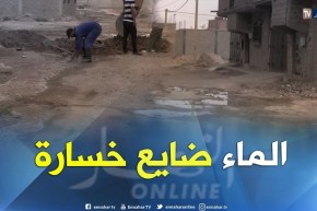 النعامة: سكان حي السلام 2 ببلدية المشرية مستاؤون من تسربات المياه