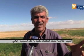 الوادي: فلاحون يتمسكون بخدمة أراضيهم ببن قشة الحدودية رغم الصعوبات