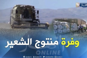 غليزان: وفرة في إنتاج الشعير رغم التقلبات الجوية