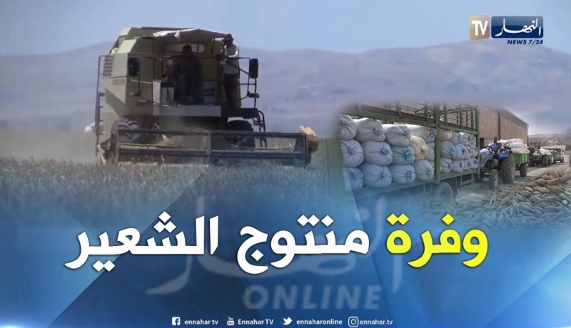 غليزان: وفرة في إنتاج الشعير رغم التقلبات الجوية