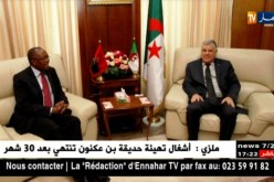 طاقة: قيطوني يناقش الشأن الطاقوي مع وزير العلاقات الخارجية الأنغولي