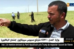 تيارت: عواصف رعدية مصحوبة بالبرد تخلف خسائر معتبرة في الحبوب بالمطرونية