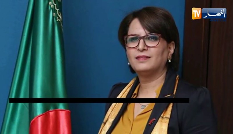 وزيرة الثقافة والفنون تشارك في الدورة الإفتراضية للقمة الثقافية بإديمنبورغ