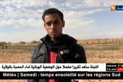 أدرار/ فلاحو أوقروت…إهتمام واسع بزراعة الثوم