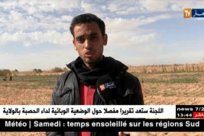 أدرار/ فلاحو أوقروت…إهتمام واسع بزراعة الثوم