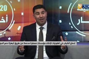 إدماج الشباب في تعاونيات لإنشاء مؤسسات مصغرة مدعمة عن طريق أجهزة دعم الدولة