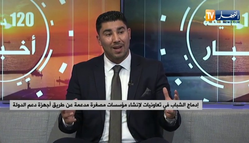 إدماج الشباب في تعاونيات لإنشاء مؤسسات مصغرة مدعمة عن طريق أجهزة دعم الدولة