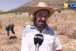 باتنة: كمال جرادي..  قصة فلاح قهر الارض بذراع واحدة