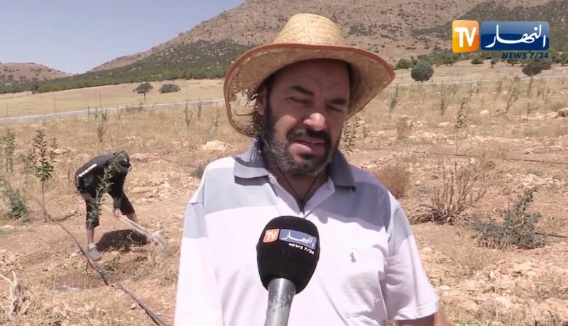 باتنة: كمال جرادي..  قصة فلاح قهر الارض بذراع واحدة