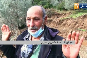 جيجل: أشغال فتح مسلك جبلي يتسبب في إتلاف اشجار الزيتون المثمرة