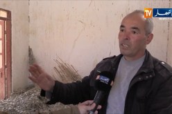 تيسمسيلت: تعطيل المرفق العام يدفع سكان دوار سيدي غالم للهِجرة !