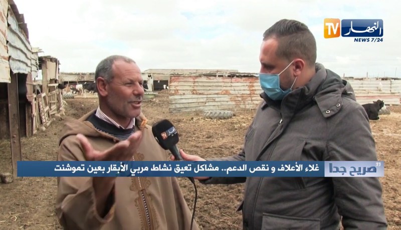 صريح جدا: غلاء الأعلاف ونقص الدعم  مشاكل تعيق نشاط مربي الأبقار بعين تموشنت