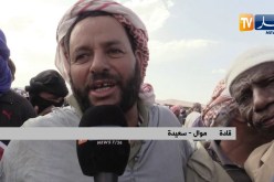 البيض: الكبش ب 37 ألف دينار ..وفرة في العرض وإستقرار في أسعار المواشي