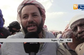 البيض: الكبش ب 37 ألف دينار ..وفرة في العرض وإستقرار في أسعار المواشي