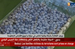 جيجل: الإطاحة بشبكة وطنية تختص في حيازة و ترويج الأقراص المهلوسة