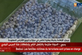 جيجل: الإطاحة بشبكة وطنية تختص في حيازة و ترويج الأقراص المهلوسة