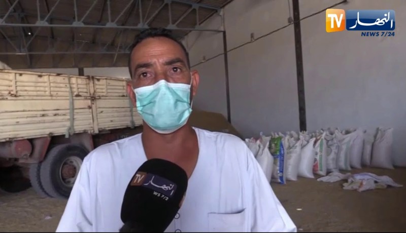 ورقلة: الديوان الوطني للحبوب على قدم وساق من اجل تزويد مربين الابل بمادة الشعير في ظل جائحة كورونا