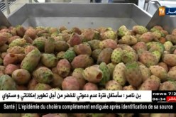 سوق أهراس: وزير الفلاحة يعد منتجي التين الشوكي بالدعم