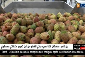 سوق أهراس: وزير الفلاحة يعد منتجي التين الشوكي بالدعم