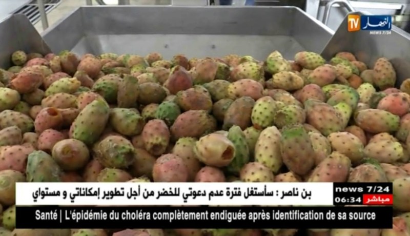 سوق أهراس: وزير الفلاحة يعد منتجي التين الشوكي بالدعم