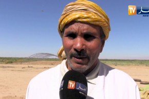 بسكرة: الجفاف يهدد مساحات من الخضروات والحبوب بزريبة الوادي