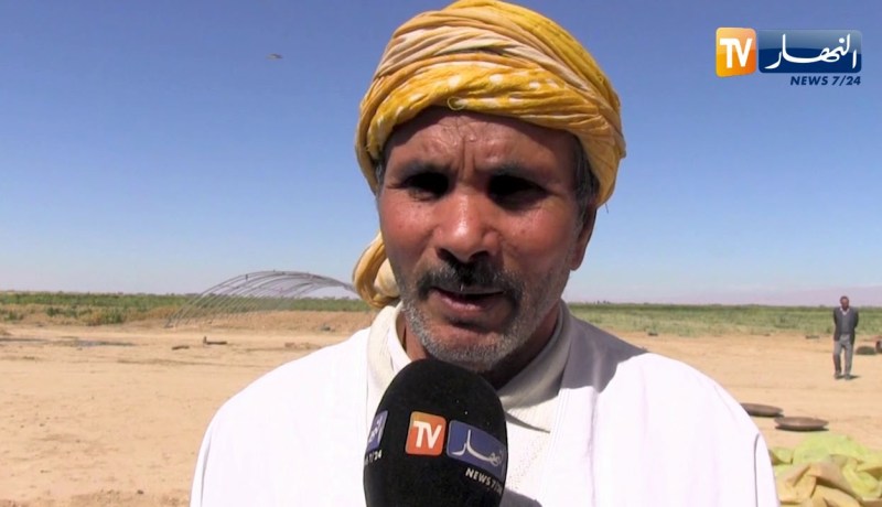 بسكرة: الجفاف يهدد مساحات من الخضروات والحبوب بزريبة الوادي