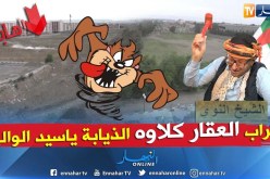 الشيخ النوي: عقارات بالبليدة داوها الذيابة.. يا الولي لازم تدخل