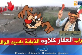 الشيخ النوي: عقارات بالبليدة داوها الذيابة.. يا الولي لازم تدخل