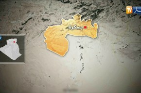 حجز أكثر من 429 كلغ من اللحوم البيضاء غير الصالحة للإستهلاك في ولاية بسكرة