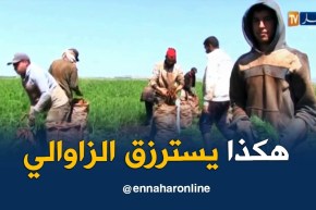 عين تموشنت: عبد الكريم..رحلة البحث عن الرزق الحلال