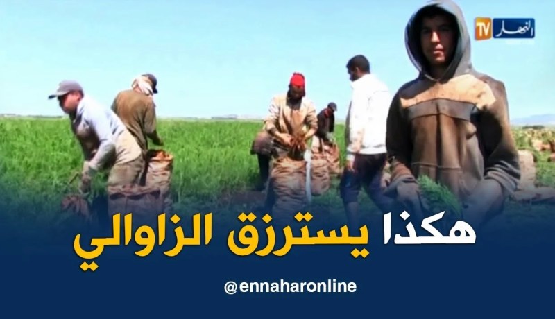 عين تموشنت: عبد الكريم..رحلة البحث عن الرزق الحلال