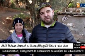 معسكر: الهلال الأحمر يقدم مساعدات للعائلات المعوزة التي بثتها قناة النهار