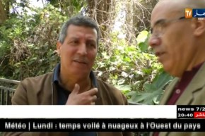 تربية: ترقية مستخدمي قطاع التربية.. أي امتيازات ؟