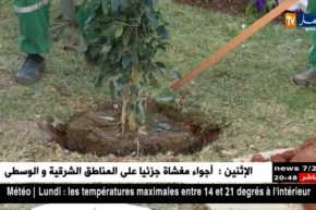 العاصمة: آخر الروتوشات قبيل الزيارة المرتقبة للرئيس بوتفليقة