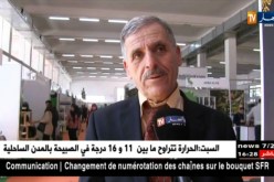 فلاحة/ إنتاج زيت الزيتون بالجزائر…هذه هي الأرقام