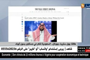 طاقة/ وول ستريت جورنال…السعودية تفكر في مستقبل بدون أوبك