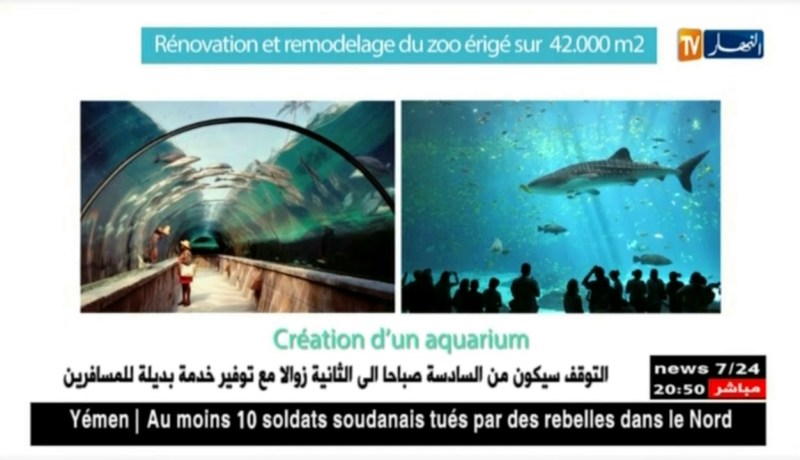 حديقة الحيوانات والتسلية ببن عكنون.. ديزنيي لاند الجزائر مطلع 2020