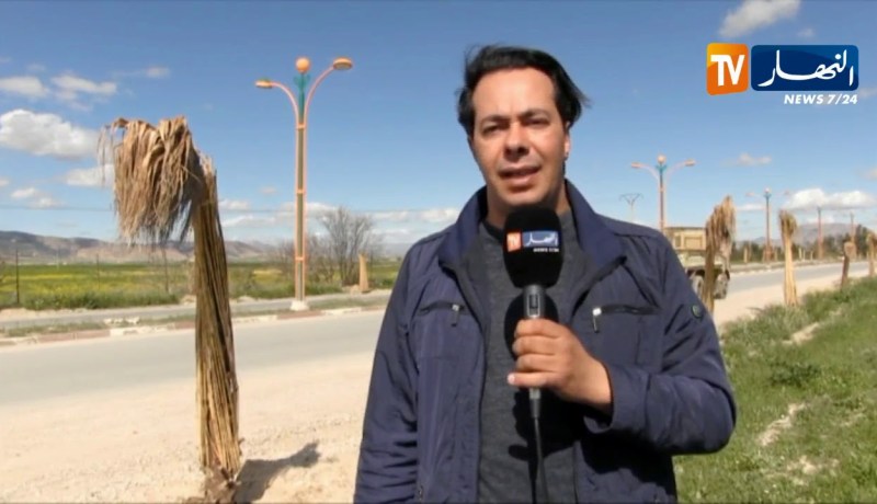 تبسة: وكيل الجمهورية يأمر بفتح تحقيق في مشروع تزيين المداخل بالنخيل