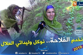 إمرأة بألف رجل.. عندما تولد العزيمة من رحم المعاناة