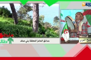 النوي.. في العراق كاين حدائق بابل المعلقة  وفي الجزائر كاين حدائق بني صاف المعلقة “كارثة”