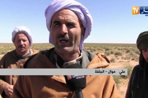 تيارت: الموالون يشتكون سيطرة مافيا السهوب على تسيير المحميات الرعوية بالنعيمة