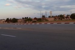 بطّالون يغلون طريق حاسي مسعود ويحجزون صهاريج محروقات