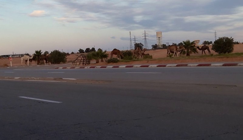 بطّالون يغلون طريق حاسي مسعود ويحجزون صهاريج محروقات