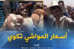 بالفيديو.. دعايات مرض المواشي وراء إرتفاع سعرها