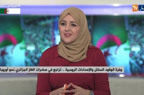 الغاز الطبيعي المسال يغير السوق العالمية..الجزائر أمام حتمية التوجه نحو الطاقة البديلة