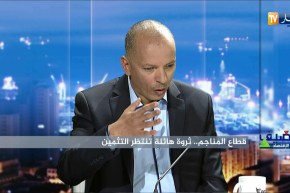 مسير محجرة:  هذا هو سبب تأخر قطاع المناجم في الجزائر