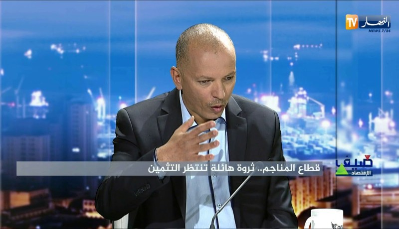 مسير محجرة:  هذا هو سبب تأخر قطاع المناجم في الجزائر