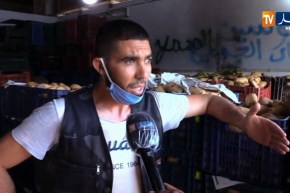 تجارة: أسعار الخضر والفواكه تعرف استقرار في أسواق الجملة